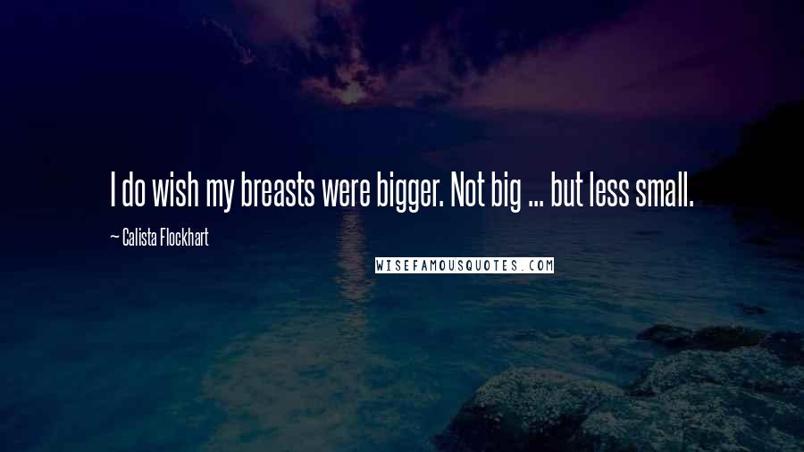 Calista Flockhart quotes: I do wish my breasts were bigger. Not big ... but less small.