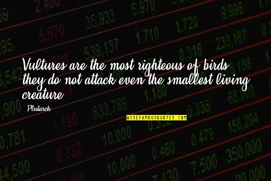 Calisthenic Quotes By Plutarch: Vultures are the most righteous of birds: they Calisthenic Quotes By Plutarch: Vultures are the most righteous of birds: they