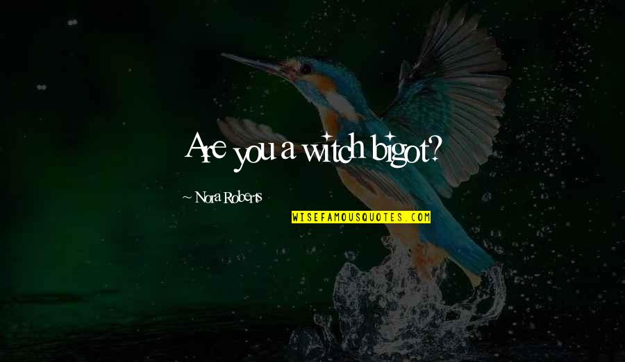 Calixto Chinchilla Quotes By Nora Roberts: Are you a witch bigot?