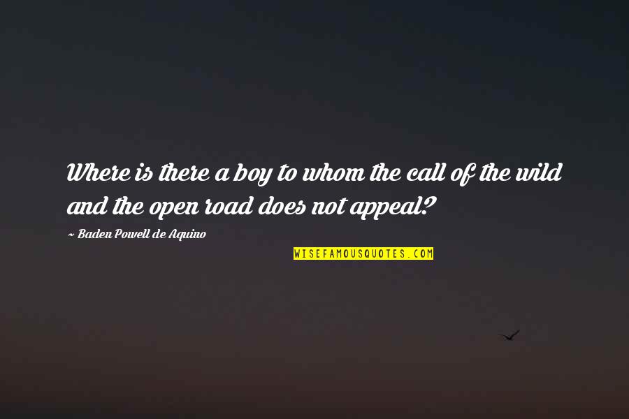 Call Boy Quotes By Baden Powell De Aquino: Where is there a boy to whom the