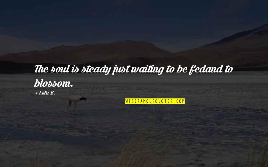 Call Me Karizma Quotes By Leta B.: The soul is steady just waiting to be