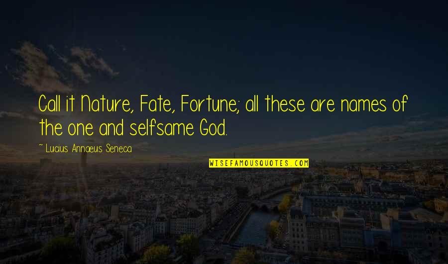Call Of God Quotes By Lucius Annaeus Seneca: Call it Nature, Fate, Fortune; all these are