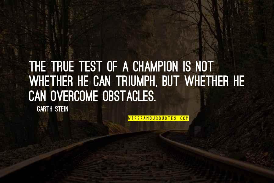 Call Signs Quotes By Garth Stein: The true test of a champion is not