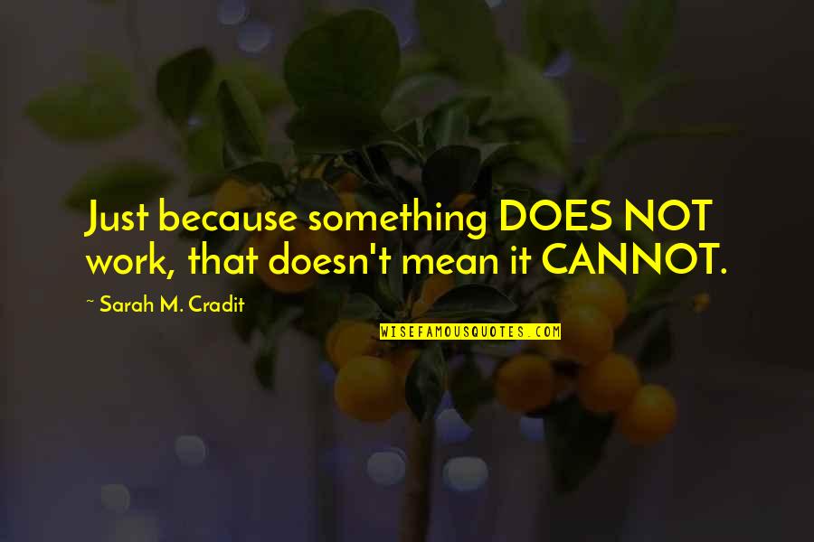 Call To Action Business Quotes By Sarah M. Cradit: Just because something DOES NOT work, that doesn't