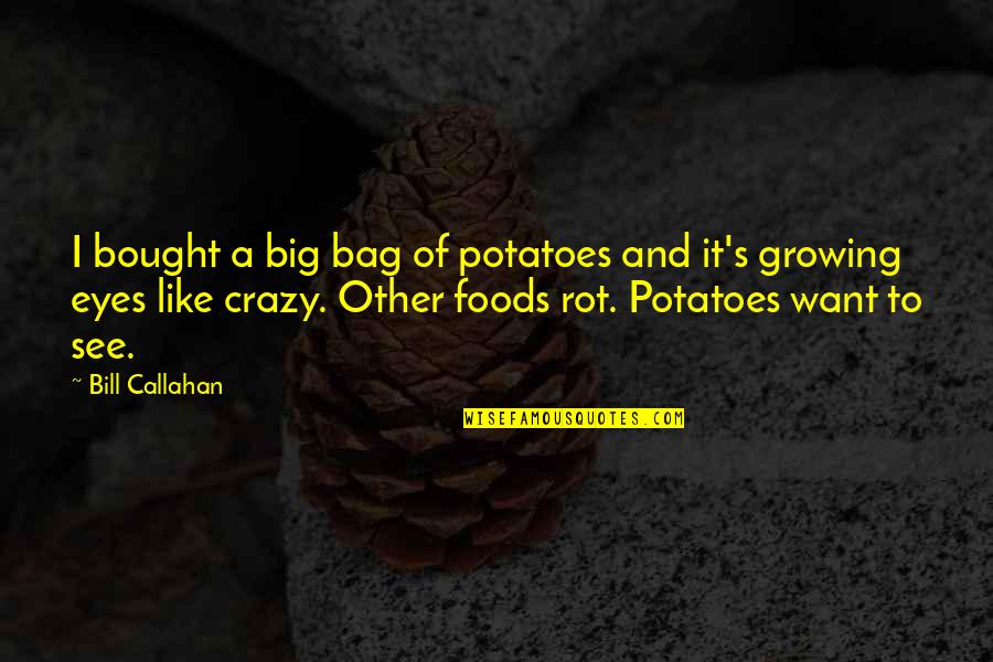 Callahan Quotes By Bill Callahan: I bought a big bag of potatoes and Callahan Quotes By Bill Callahan: I bought a big bag of potatoes and