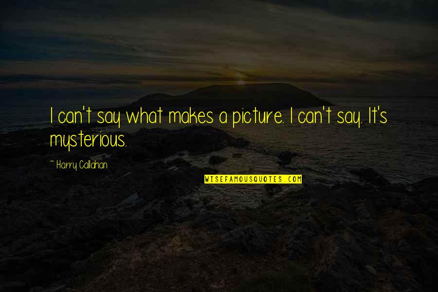 Callahan Quotes By Harry Callahan: I can't say what makes a picture. I Callahan Quotes By Harry Callahan: I can't say what makes a picture. I