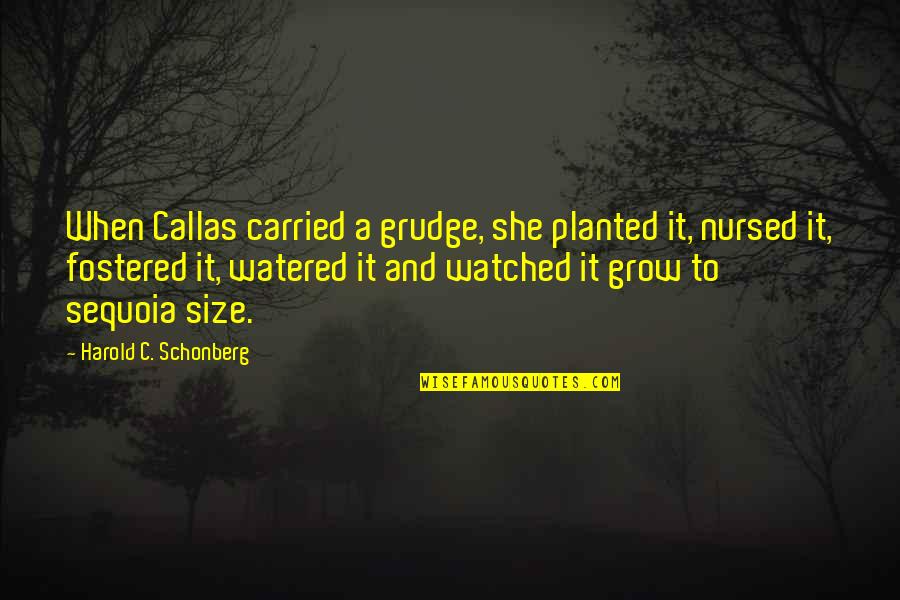 Callas Quotes By Harold C. Schonberg: When Callas carried a grudge, she planted it,