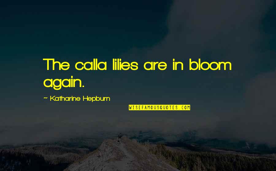 Callas Quotes By Katharine Hepburn: The calla lilies are in bloom again.