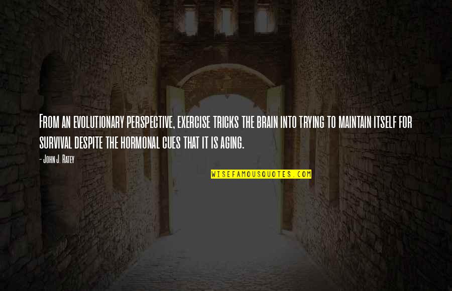 Callebaut Belgian Quotes By John J. Ratey: From an evolutionary perspective, exercise tricks the brain Callebaut Belgian Quotes By John J. Ratey: From an evolutionary perspective, exercise tricks the brain