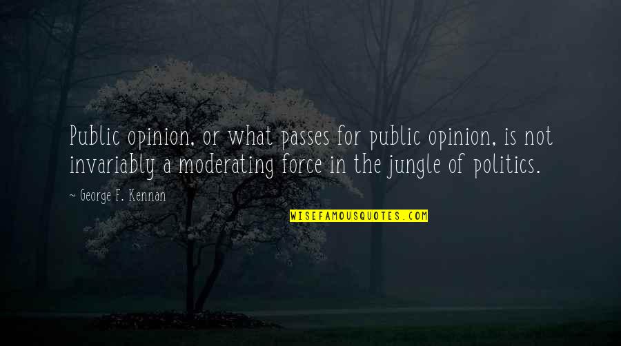 Calleja Shutters Quotes By George F. Kennan: Public opinion, or what passes for public opinion,