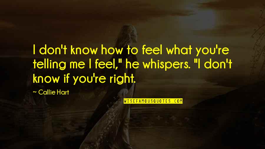 Callie Quotes By Callie Hart: I don't know how to feel what you're Callie Quotes By Callie Hart: I don't know how to feel what you're