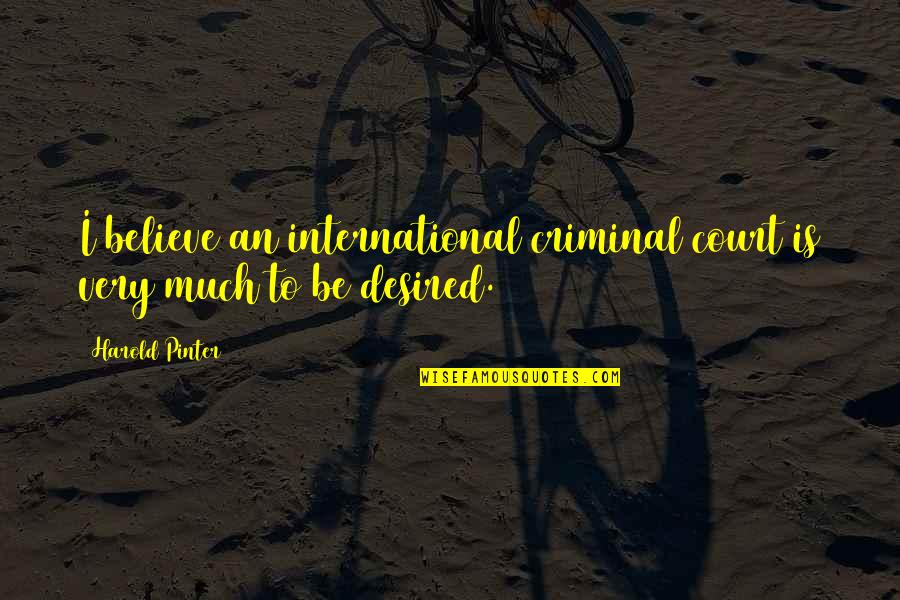 Callie Rose Quotes By Harold Pinter: I believe an international criminal court is very