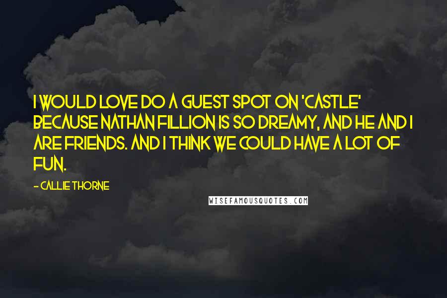 Callie Thorne quotes: I would love do a guest spot on 'Castle' because Nathan Fillion is so dreamy, and he and I are friends. And I think we could have a lot of