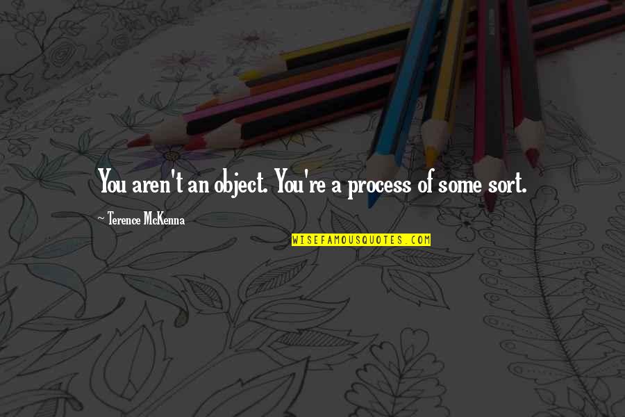 Calliel Quotes By Terence McKenna: You aren't an object. You're a process of Calliel Quotes By Terence McKenna: You aren't an object. You're a process of