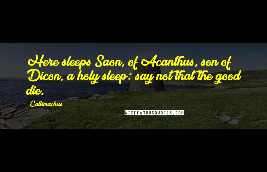 Callimachus quotes: Here sleeps Saon, of Acanthus, son of Dicon, a holy sleep: say not that the good die.
