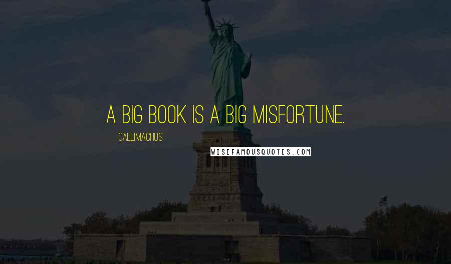 Callimachus quotes: A big book is a big misfortune.