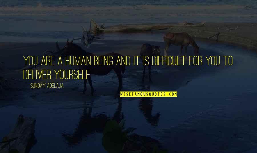 Calling It Quotes By Sunday Adelaja: You are a human being and it is