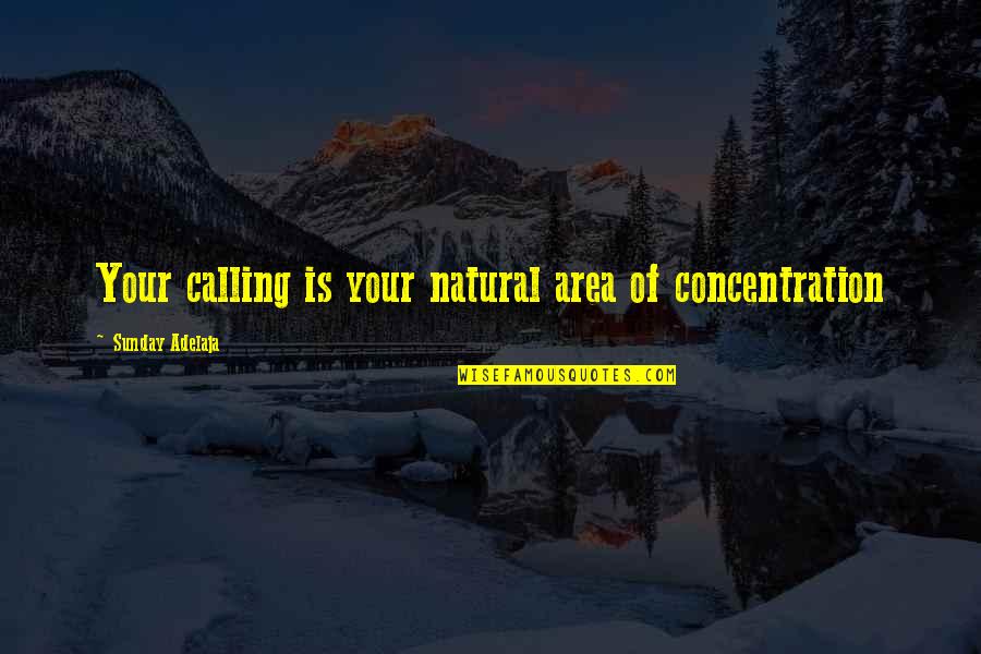 Calling Out Of Work Quotes By Sunday Adelaja: Your calling is your natural area of concentration