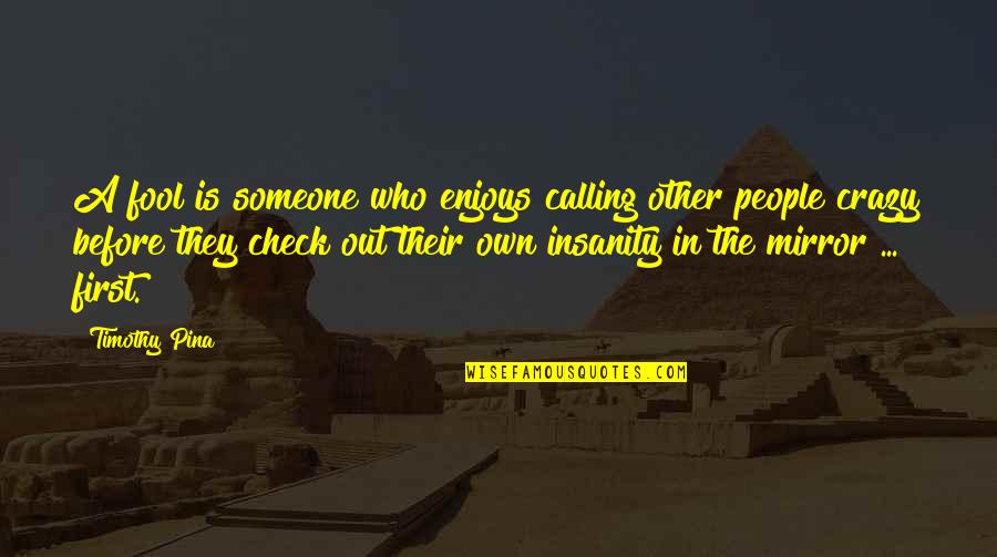 Calling People Out Quotes By Timothy Pina: A fool is someone who enjoys calling other