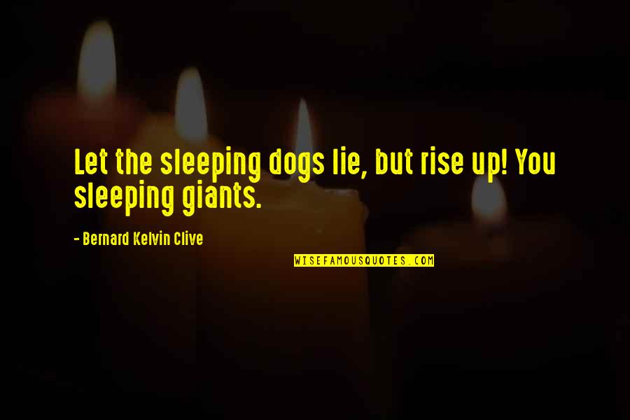 Calltools Quotes By Bernard Kelvin Clive: Let the sleeping dogs lie, but rise up!