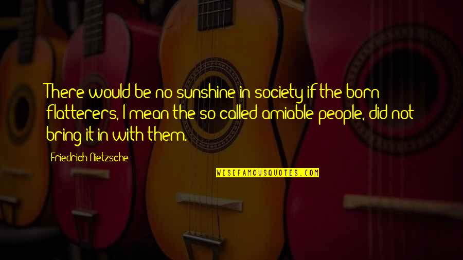 Calluses Quotes By Friedrich Nietzsche: There would be no sunshine in society if