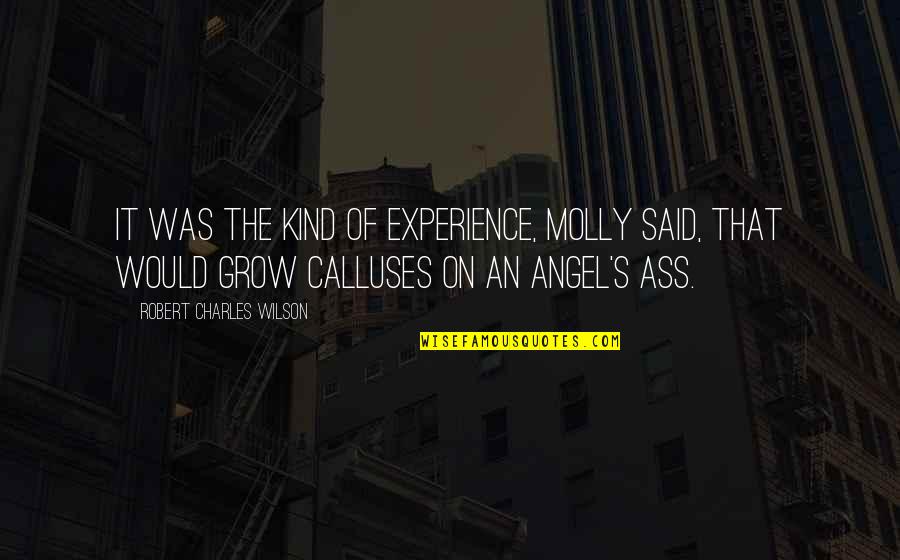 Calluses Quotes By Robert Charles Wilson: It was the kind of experience, Molly said,