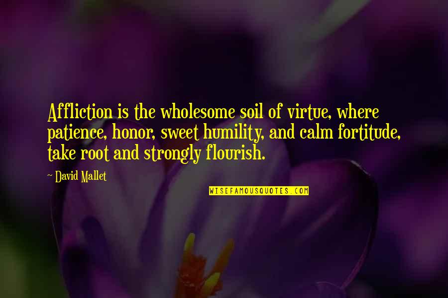 Calm And Patience Quotes By David Mallet: Affliction is the wholesome soil of virtue, where