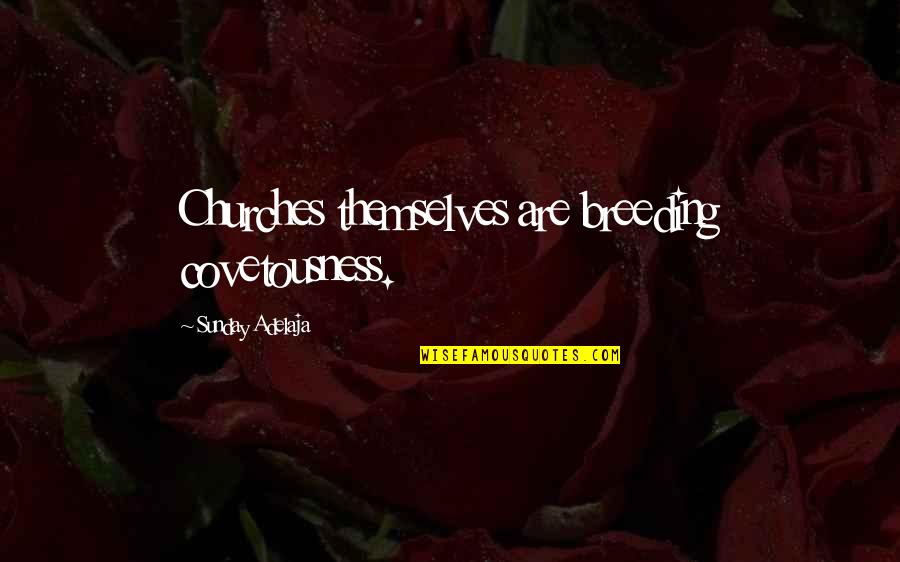 Calm Before The Storm Movie Quotes By Sunday Adelaja: Churches themselves are breeding covetousness. Calm Before The Storm Movie Quotes By Sunday Adelaja: Churches themselves are breeding covetousness.