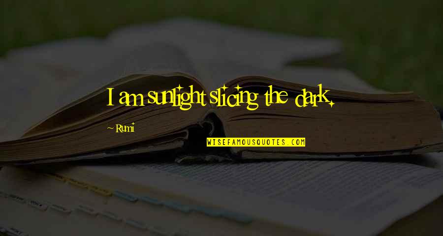 Calm My Nerves Quotes By Rumi: I am sunlight slicing the dark.