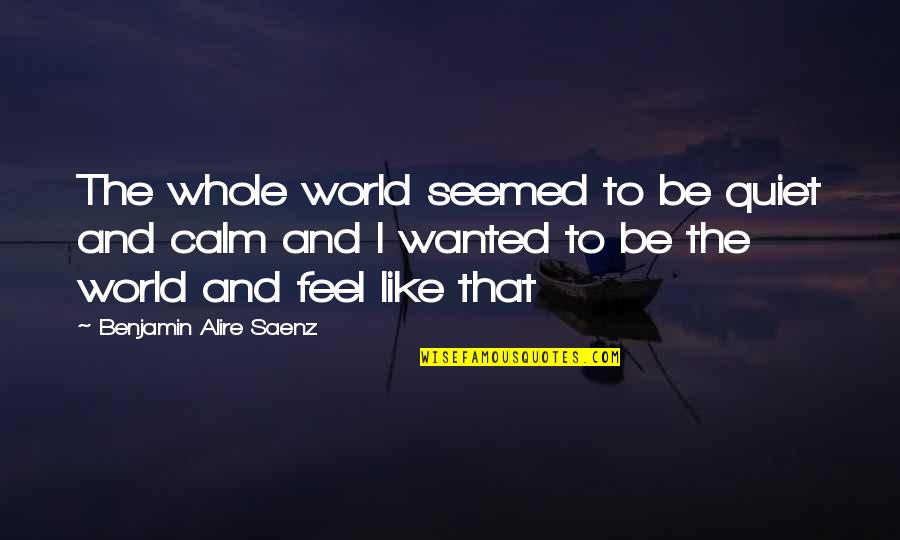 Calm Quotes By Benjamin Alire Saenz: The whole world seemed to be quiet and