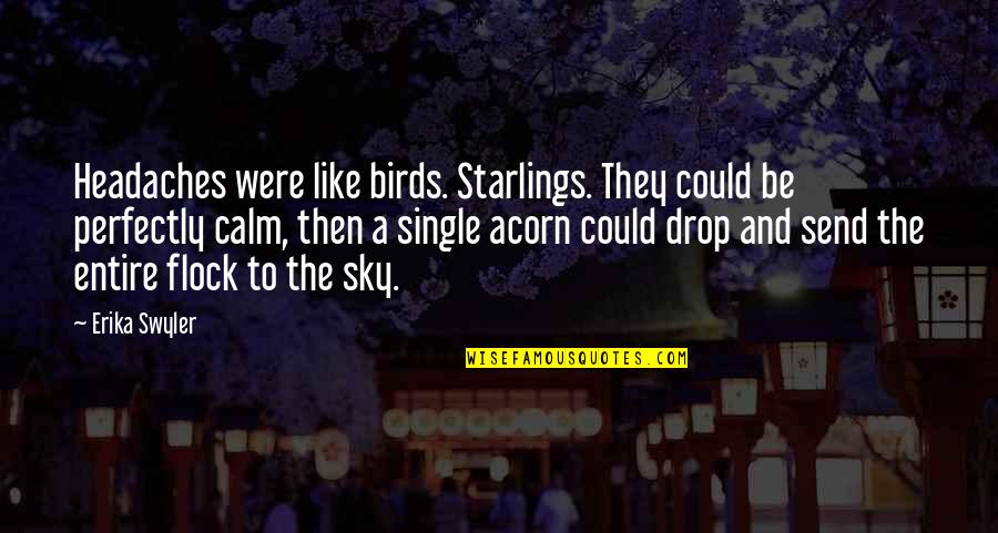 Calm Sky Quotes By Erika Swyler: Headaches were like birds. Starlings. They could be