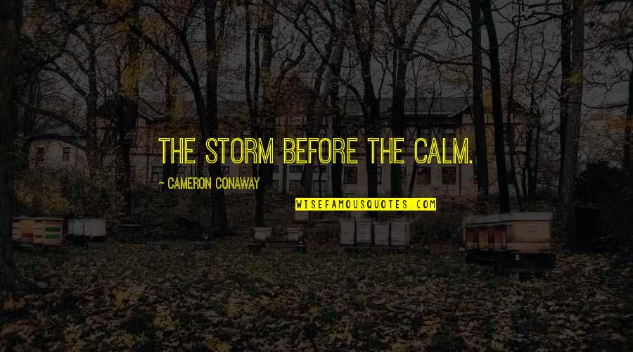 Calm Storm Quotes By Cameron Conaway: The storm before the calm.