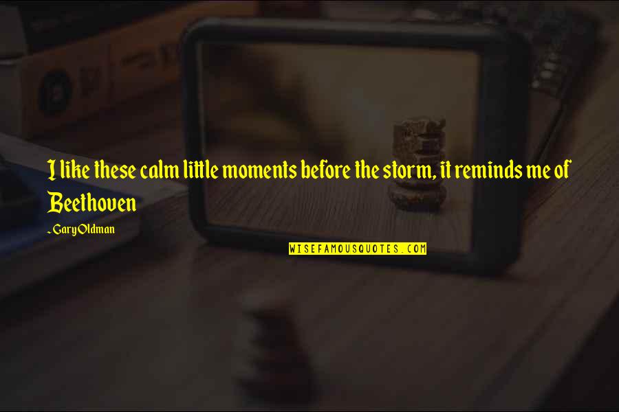 Calm Storm Quotes By Gary Oldman: I like these calm little moments before the