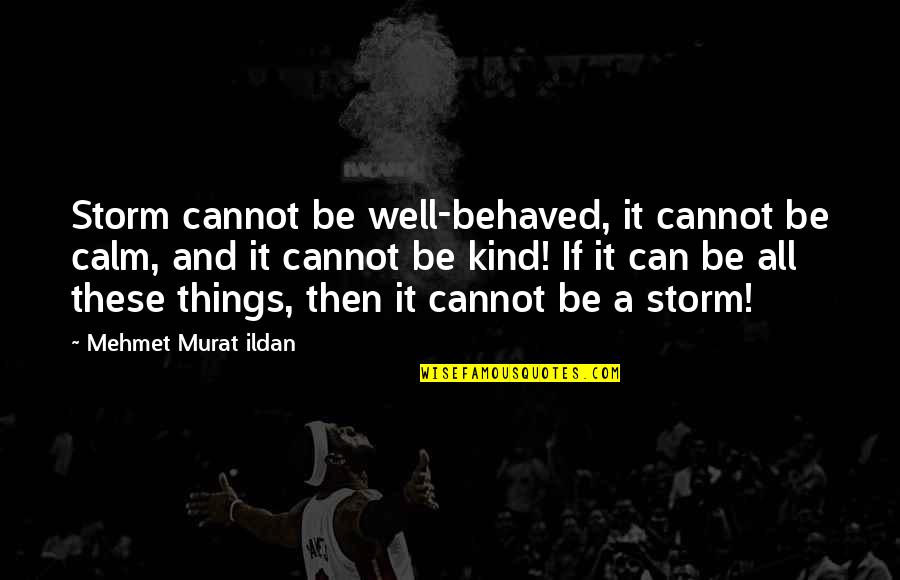 Calm Storm Quotes By Mehmet Murat Ildan: Storm cannot be well-behaved, it cannot be calm,