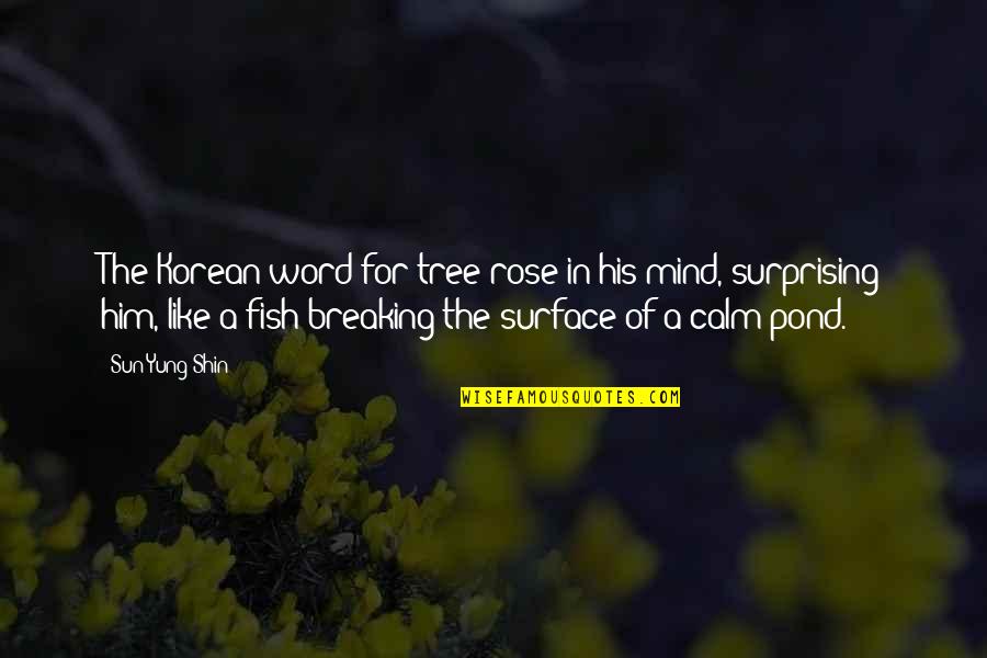Calm Surface Quotes By Sun Yung Shin: The Korean word for tree rose in his