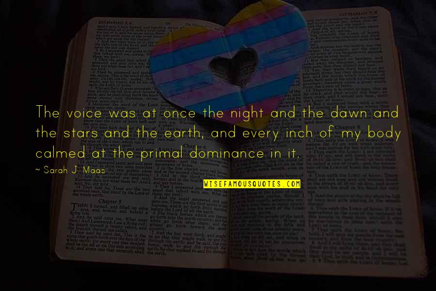 Calmed Quotes By Sarah J. Maas: The voice was at once the night and Calmed Quotes By Sarah J. Maas: The voice was at once the night and