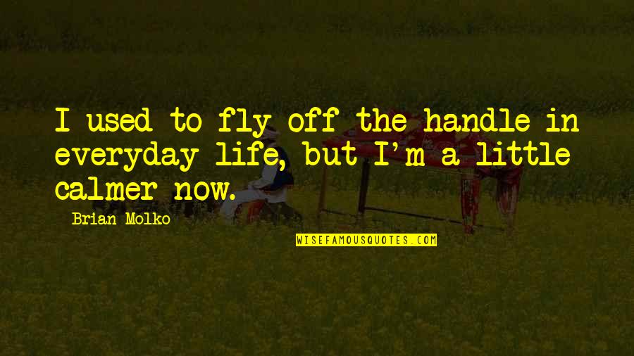 Calmer Life Quotes By Brian Molko: I used to fly off the handle in