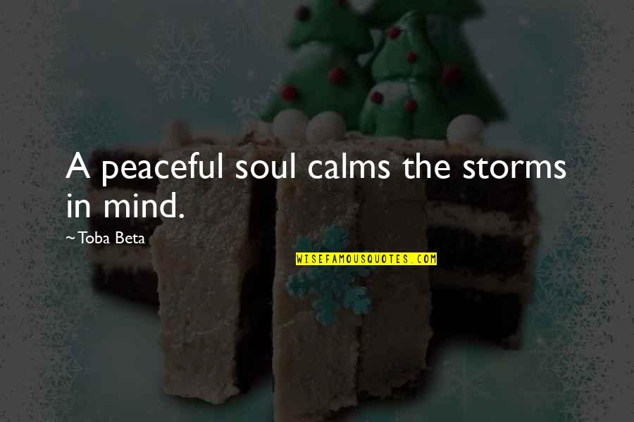 Calming Mind Quotes By Toba Beta: A peaceful soul calms the storms in mind.