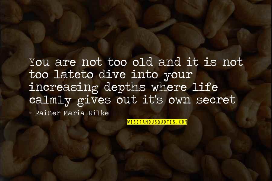 Calmly Quotes By Rainer Maria Rilke: You are not too old and it is