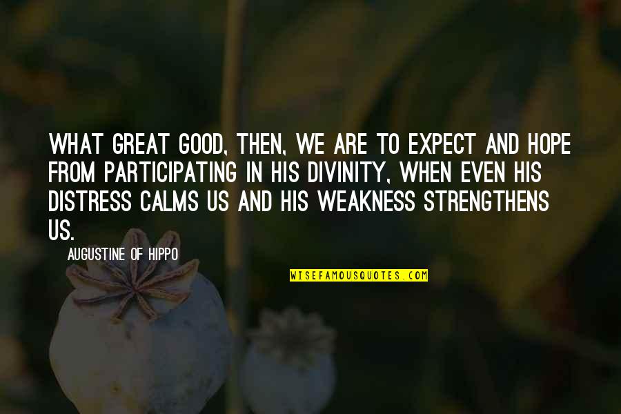Calms Quotes By Augustine Of Hippo: What great good, then, we are to expect
