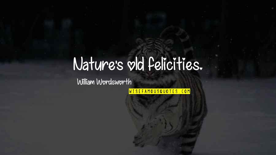 Calpakis Gregory Quotes By William Wordsworth: Nature's old felicities.