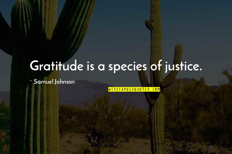Calumnity Quotes By Samuel Johnson: Gratitude is a species of justice.