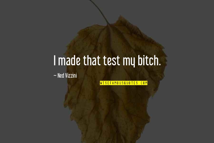 Calvani Pecans Quotes By Ned Vizzini: I made that test my bitch.