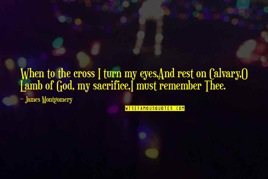 Calvary Quotes By James Montgomery: When to the cross I turn my eyes,And