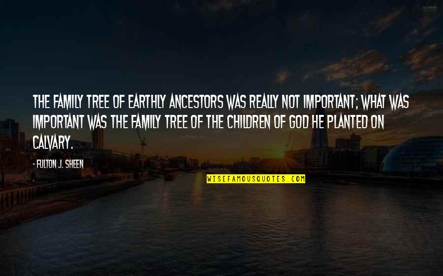 Calvary's Quotes By Fulton J. Sheen: The family tree of earthly ancestors was really