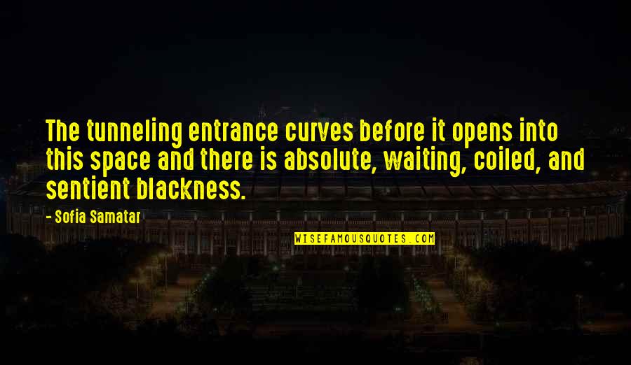 Calvin Harris Lyric Quotes By Sofia Samatar: The tunneling entrance curves before it opens into