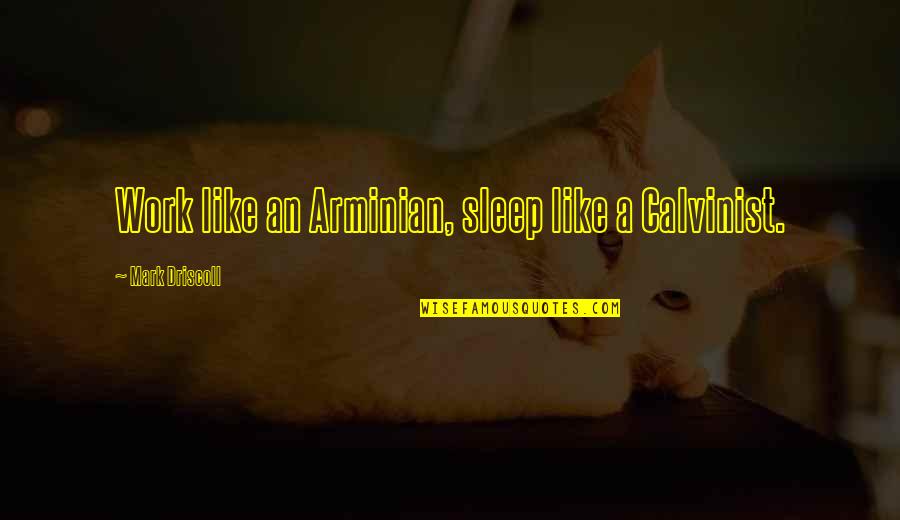 Calvinist Quotes By Mark Driscoll: Work like an Arminian, sleep like a Calvinist.