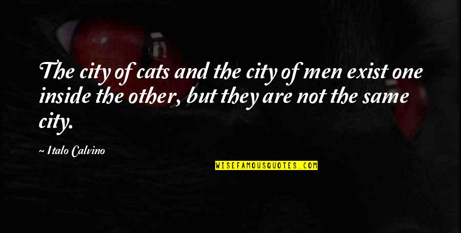 Calvino Quotes By Italo Calvino: The city of cats and the city of