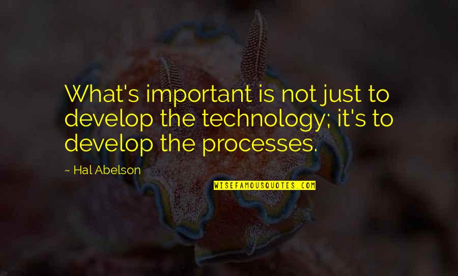Calzas En Quotes By Hal Abelson: What's important is not just to develop the
