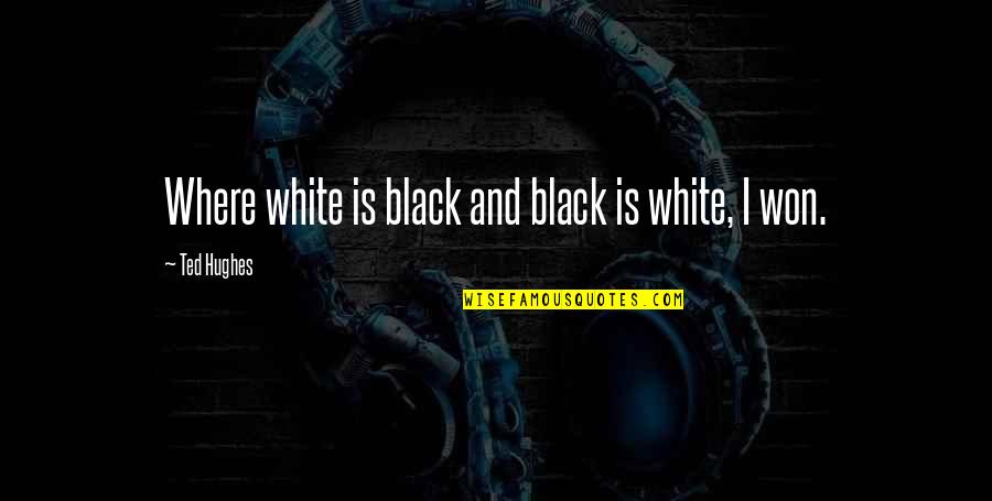 Calzas Quotes By Ted Hughes: Where white is black and black is white,